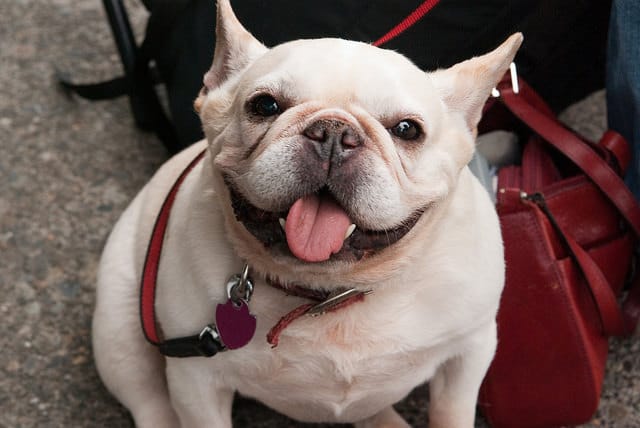 Cute Pet Names For Your Boyfriend