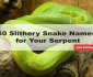 banner of the article "50 Slithery Snake Names for Your Serpent" with the green python snake as its background