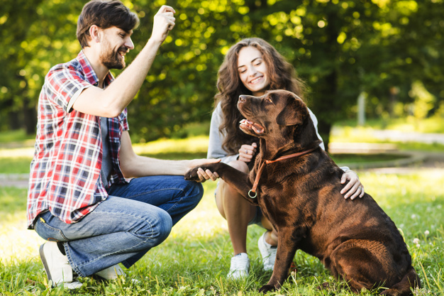 couple enjoys training their dog pet to obey commands