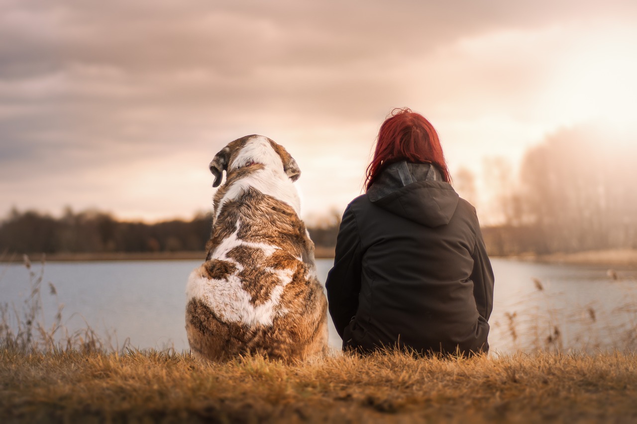 dog and woman sitting 
