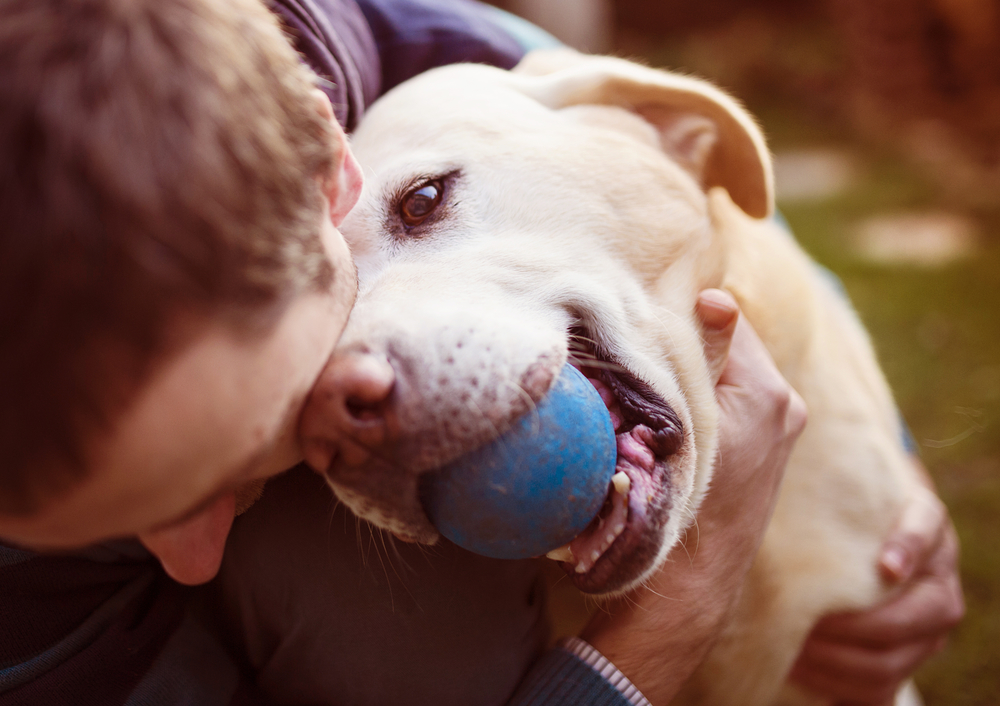 Dog playing with the owner